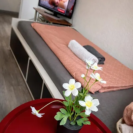 70m2 Große Moderne