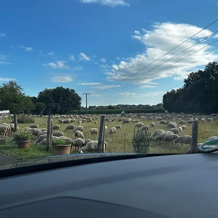 70m2 Grosse Moderne * Altenstadt