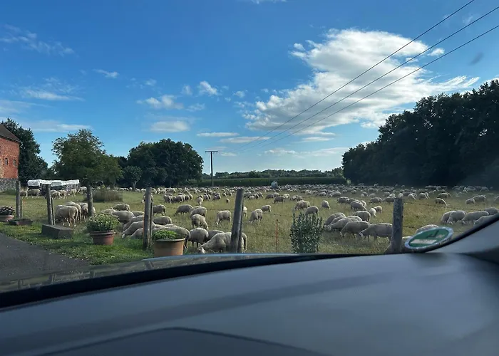 70m2 Grosse Moderne * Altenstadt